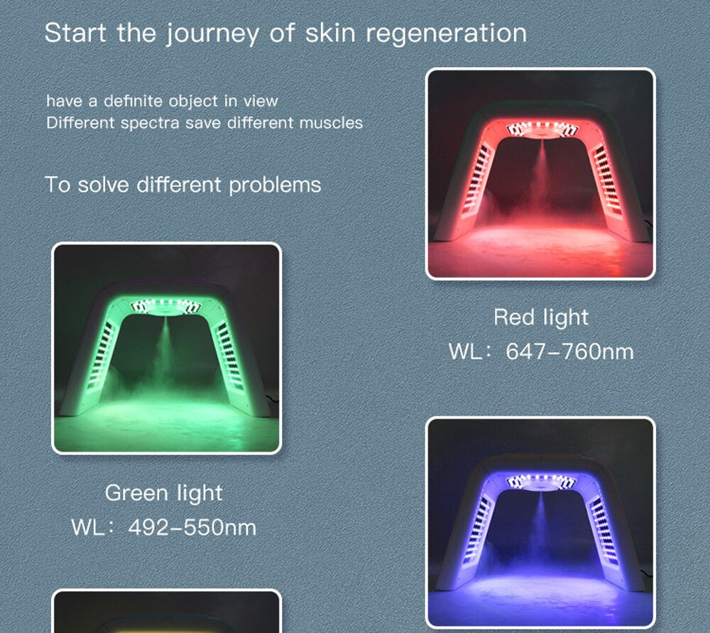 LED Therapy Facial Mask