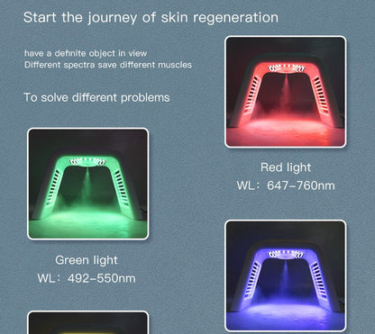 LED Therapy Facial Mask